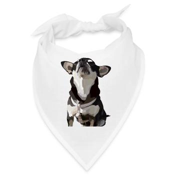 Chic Chihuahua - Bandana - Weiß - Vorne
