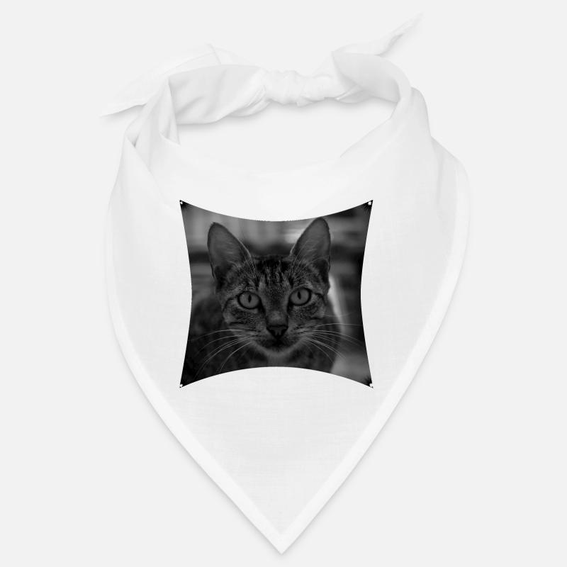 Chat sauvage Bandana