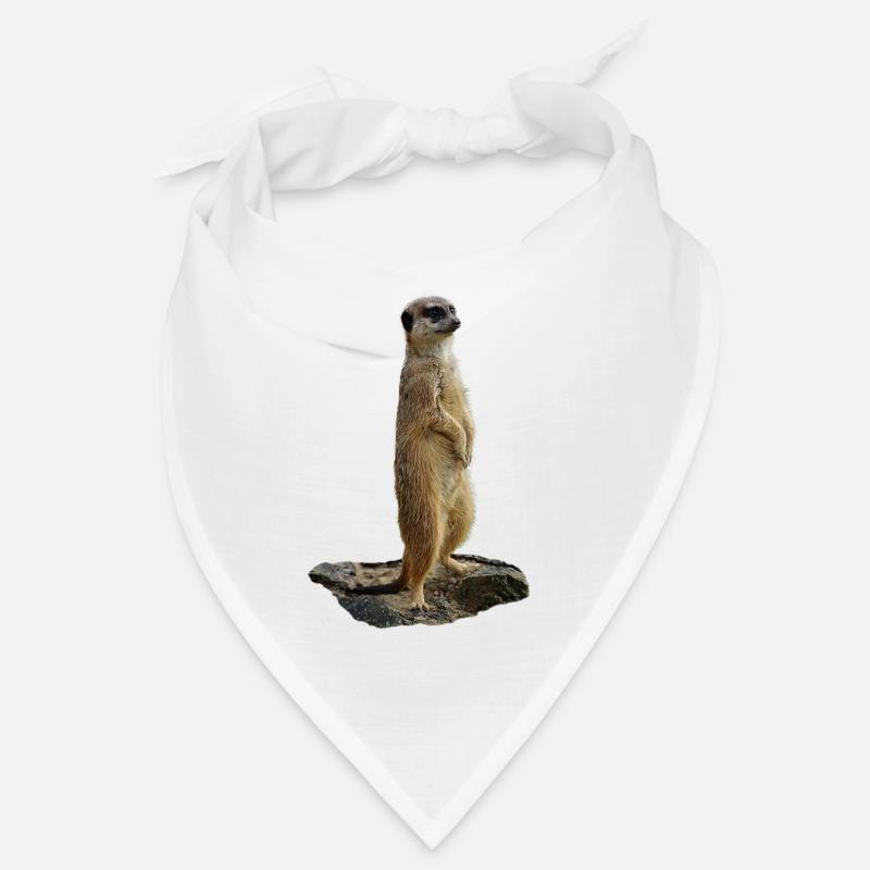 Meerkat on a rock Bandana