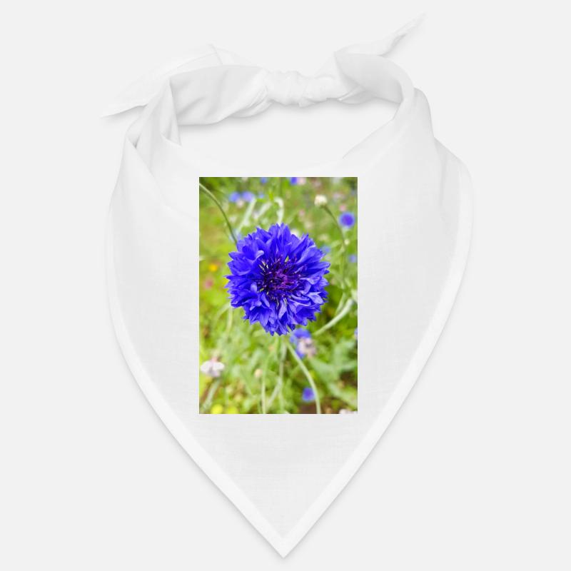 bluebottle also cornflower cornflower cyan Bandana