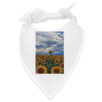 Sonnenblume Blume Sonne Geschenk Landschaft Natur - Bandana - Weiß - Vorne