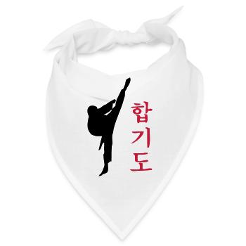 Hapkido Kick - Bandana - Weiß - Vorne