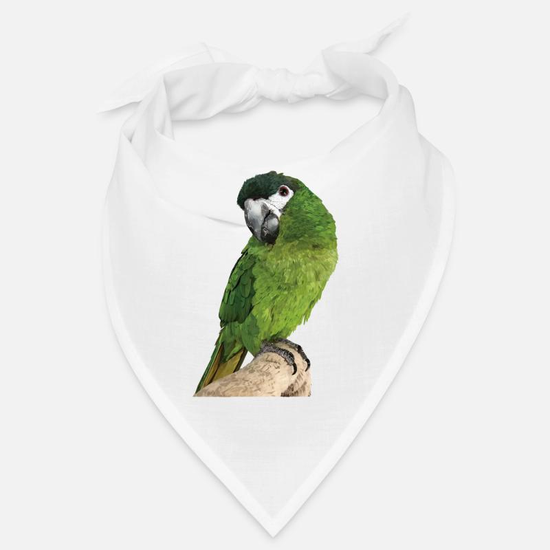 Le noble ara Bandana