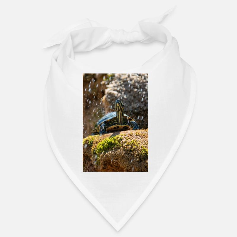 Gelbbauch-Slider Trachemys scripta scripta Bandana