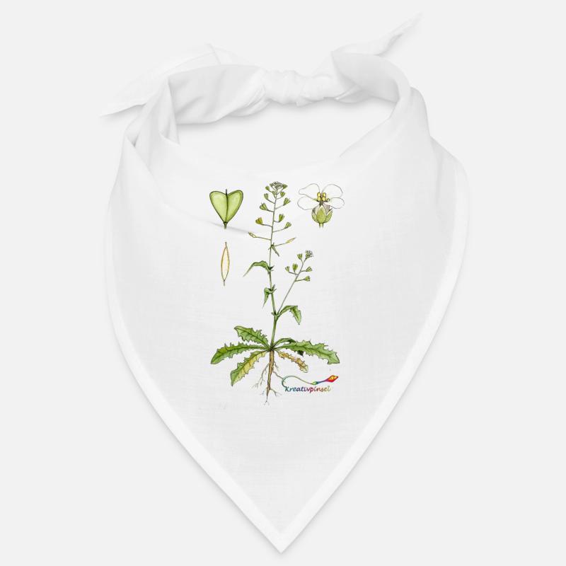Shepherd's purse (Capsella bursa pastoris) Bandana