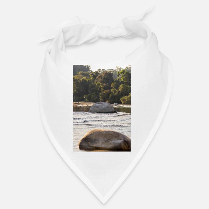 le rocher Bandana