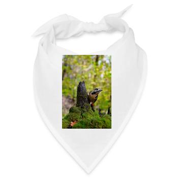 Waldspecht auf moosigem Baumstumpf - Bandana - Weiß - Vorne