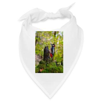 Specht auf moosigem Waldstumpf - Bandana - Weiß - Vorne