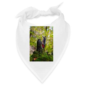 Specht auf moosigem Baumstamm - Bandana - Weiß - Vorne