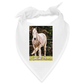 Apfelschimmel Pferd Porträt Poster - Bandana - Weiß - Vorne