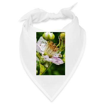 Brombeerblüte Botanische Eleganz - Bandana - Weiß - Vorne