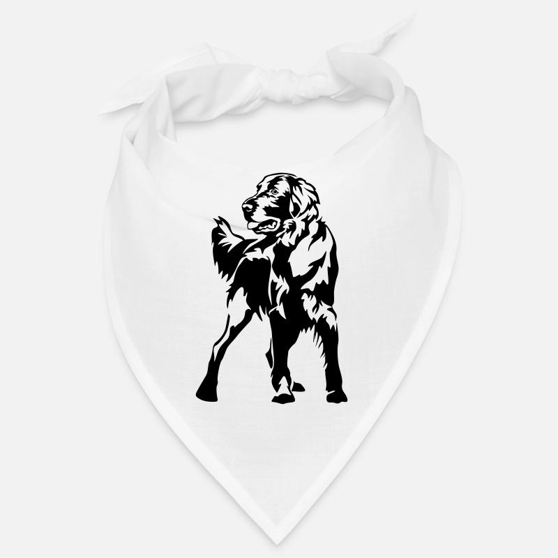 Flat-coated retriever Bandana