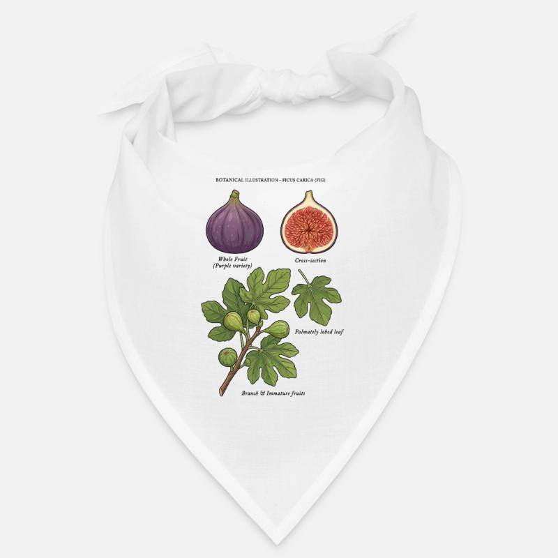 Fig Tree Botanical Study Ficus Carica Bandana