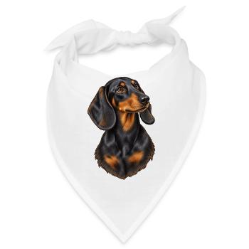 Dackel Porträt – Schwarz-brauner Hundeblick - Bandana - Weiß - Vorne