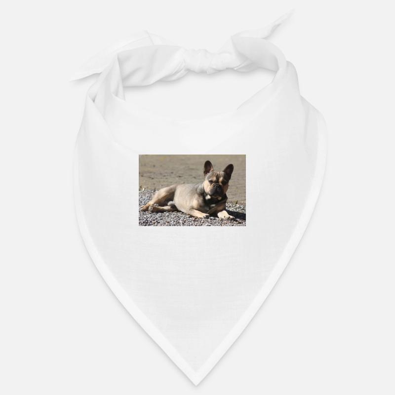French Bulldog Devil little Molosser Bandana