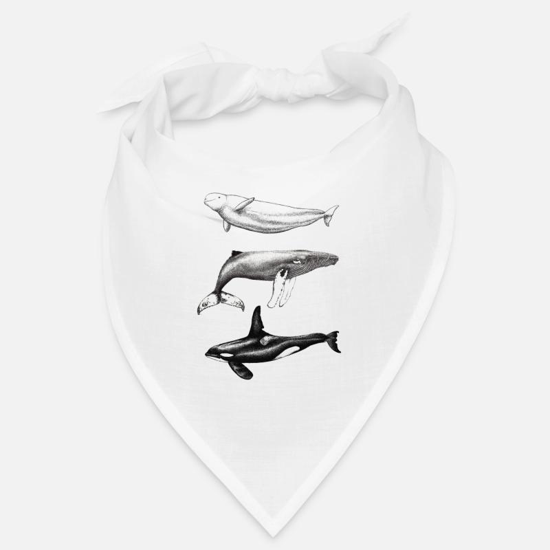 Dauphin béluga, rorqual à bosse et rorqual à bosse Bandana