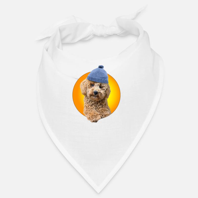 Caniche avec bonnet caniche Bandana