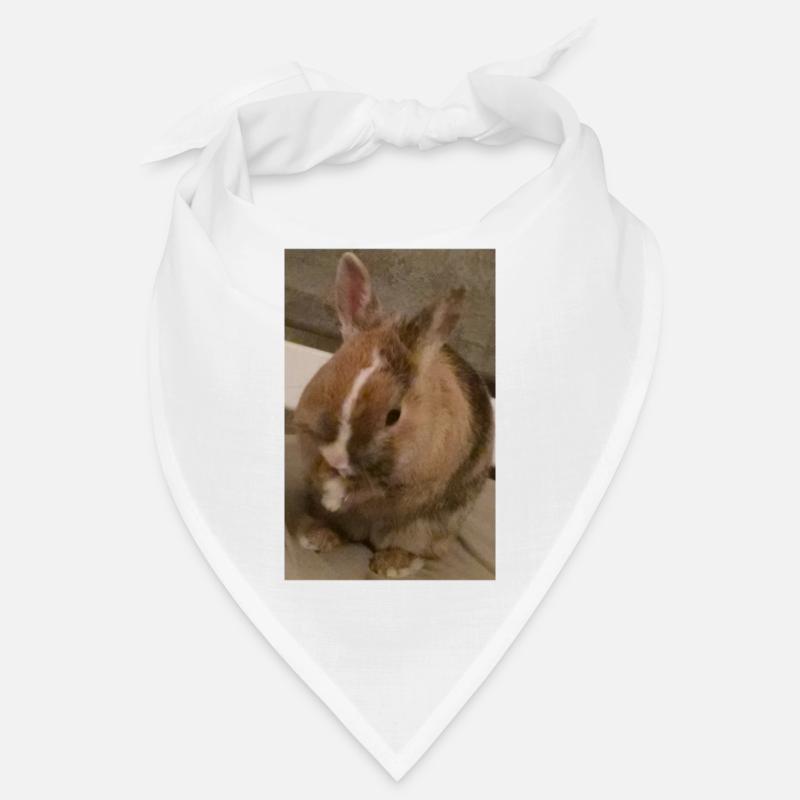 Rabbit Bandana