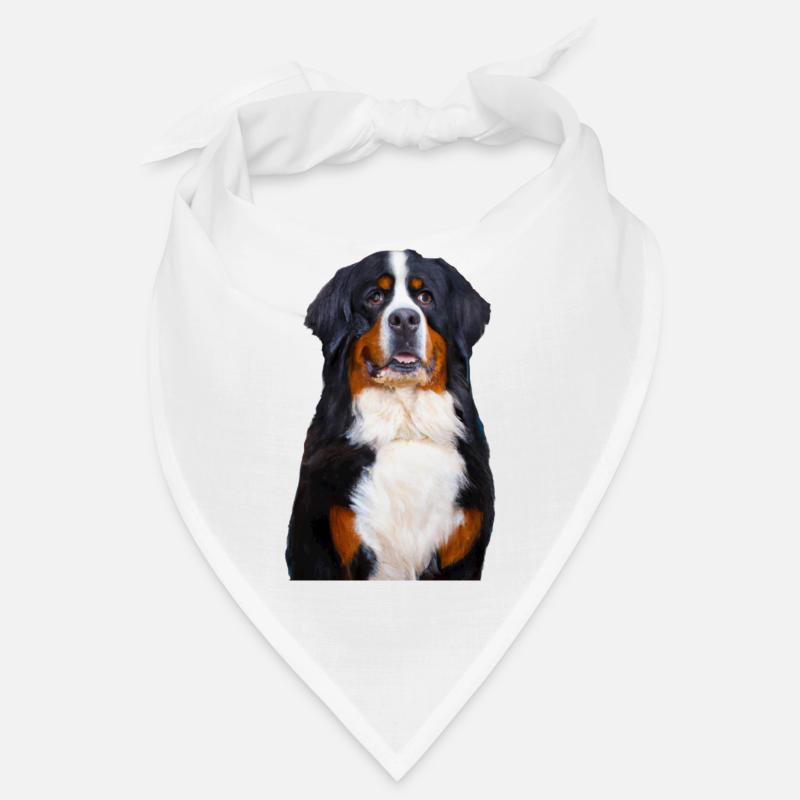 Bailey 2 Bandana