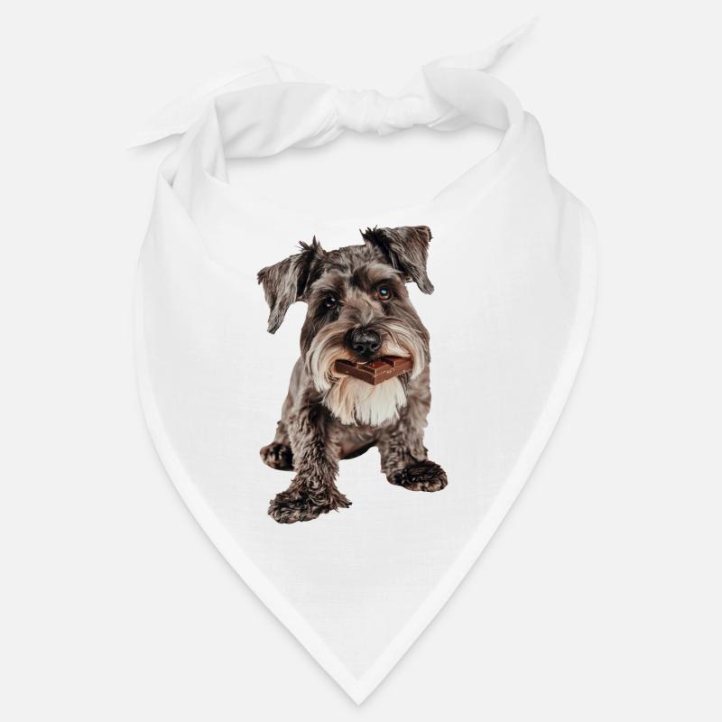 Schnauzer nain Bandana