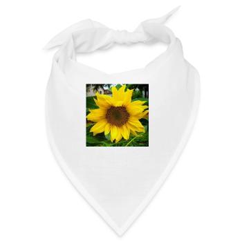 sonnenblume - Bandana - Weiß - Vorne