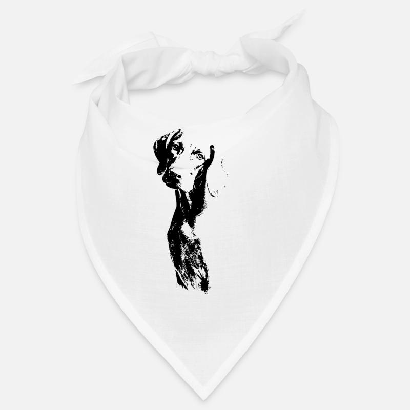 Braque de Weimar Bandana