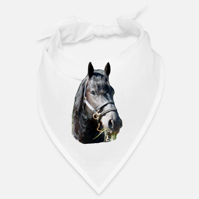 Tête de frise Bandana