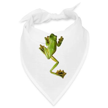Zielona żaba, Grüner Frosch , Rahacophorus, kio, - Bandana - Weiß - Vorne