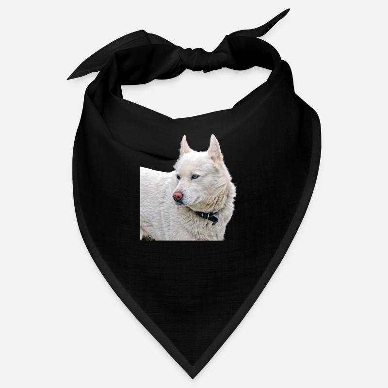 White Husky Bandana
