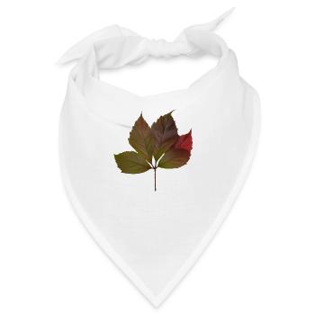 Herbstblatt, Autumn Leaf - Bandana - Weiß - Vorne