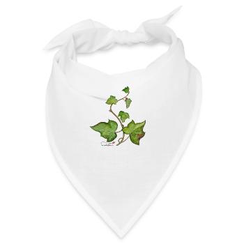 Efeu (Hedera helix) - Bandana - Weiß - Vorne