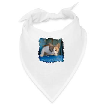 Süßes junges Kätzchen schaut aus alter blauer Tür - Bandana - Weiß - Vorne