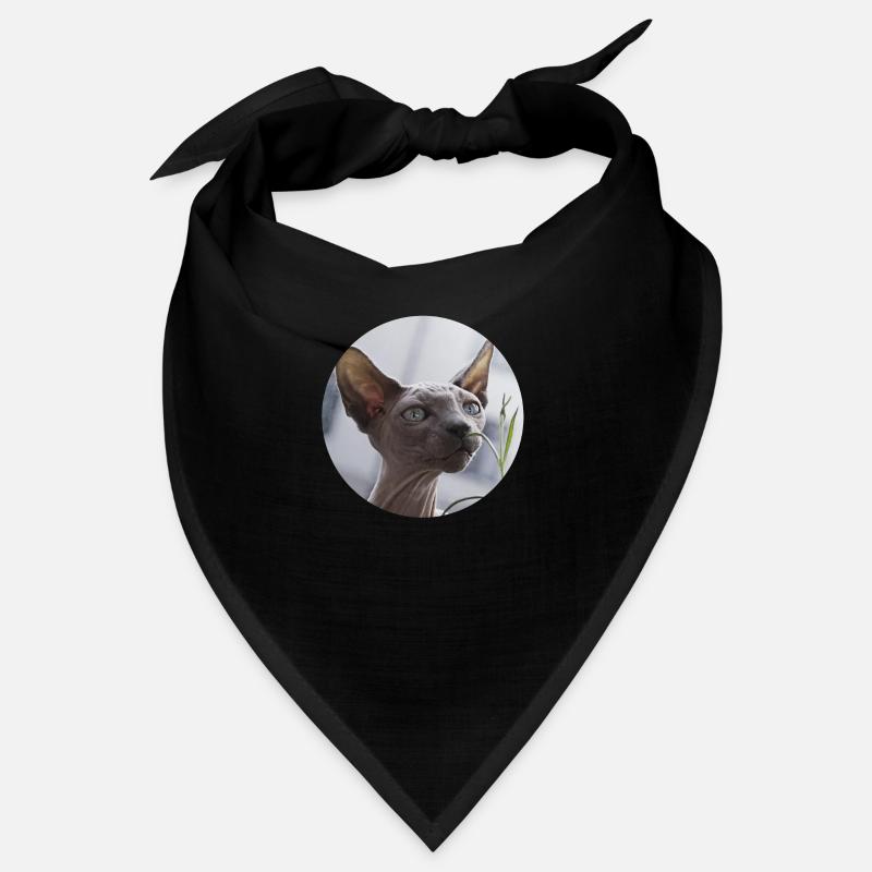 Chat nu chat sphynx Bandana