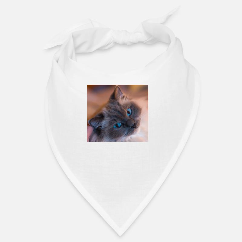 cat Bandana