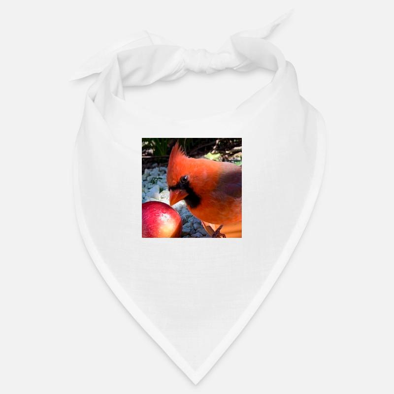 Nördlicher Kardinal Bandana