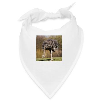 Afrikanischer Strauß - Bandana - Weiß - Vorne