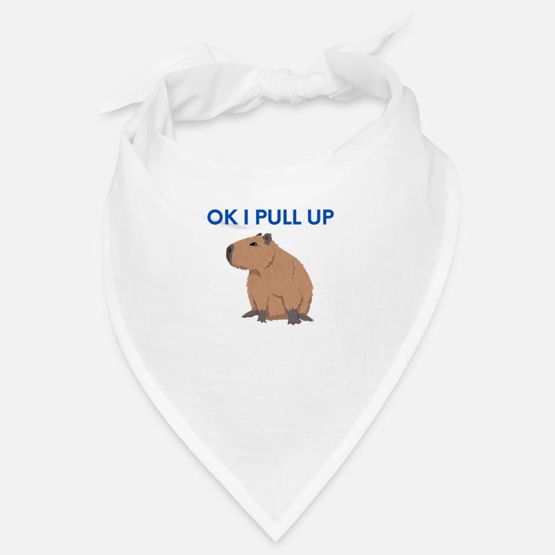 ok i pull up Bandana