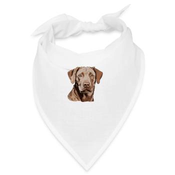 Chesapeake Bay Retriever - Bandana - Weiß - Vorne