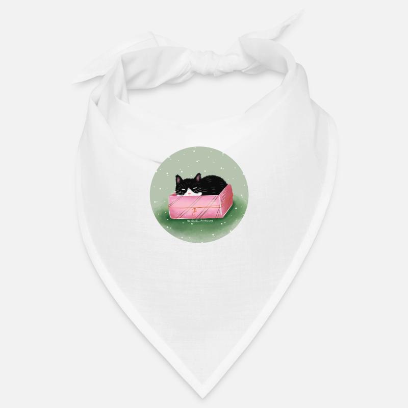 Chat dans la boîte Bandana