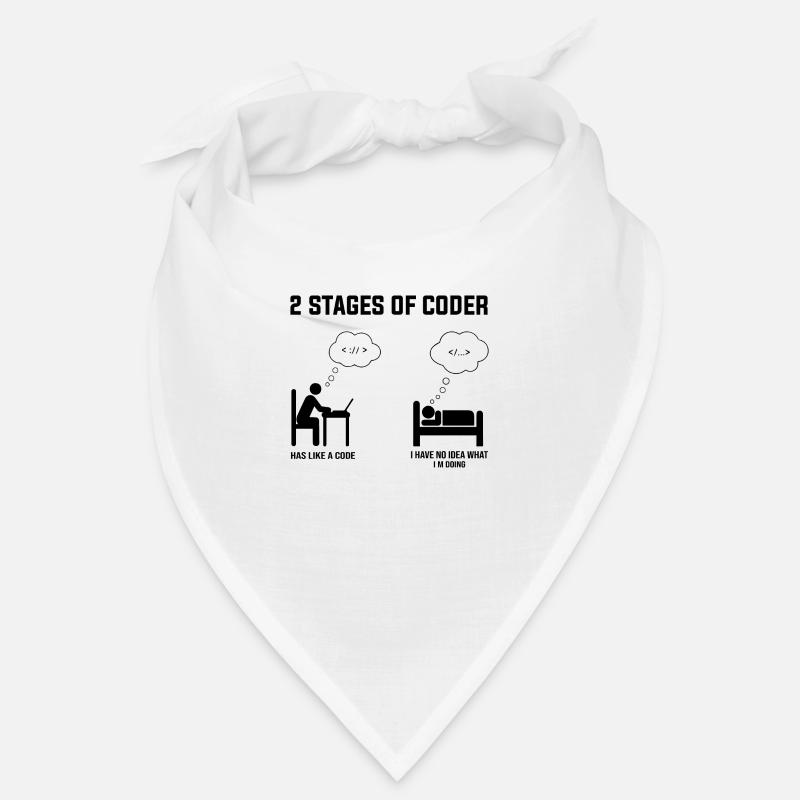 2 Stufen des Programmierers - Geschenkidee Humor Code Codierung Bandana