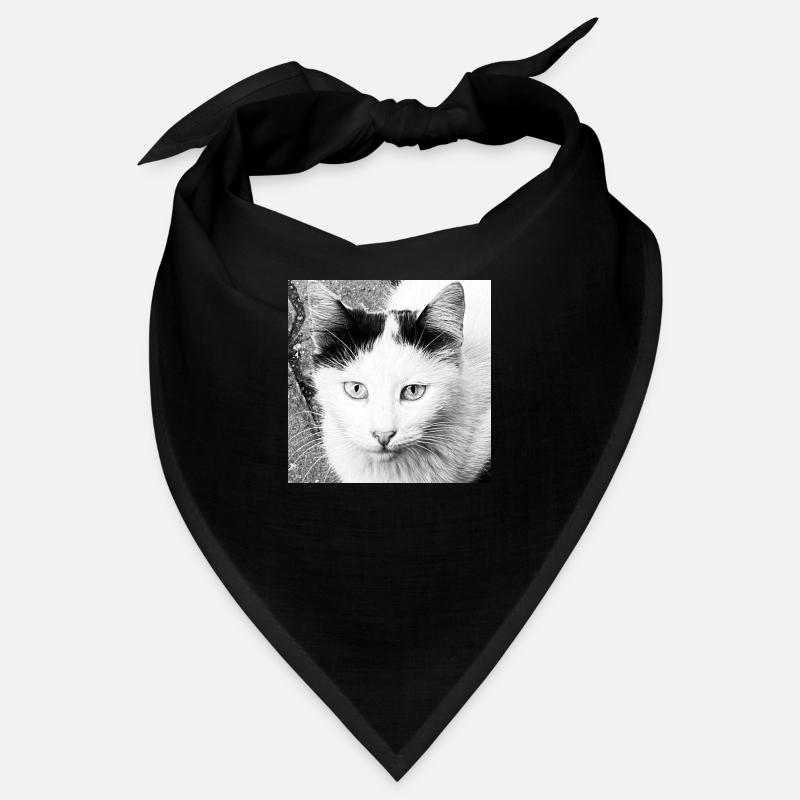 Chat mignon Bandana