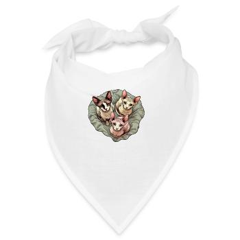 Trio Sphynxkitten - Bandana - Weiß - Vorne