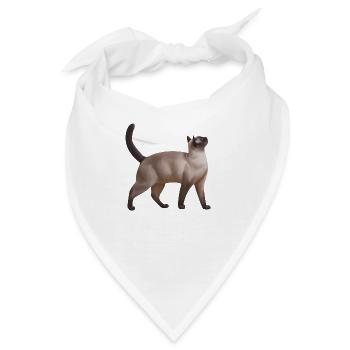Katze - Katzenliebe - Freunde - Haustiere - Bandana - Weiß - Vorne
