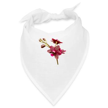 Phalaenopsis La Reine de Porcelaine Orchideenblüte - Bandana - Weiß - Vorne