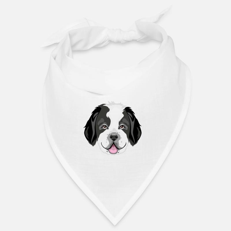 Tête de Saint Bernard Bandana