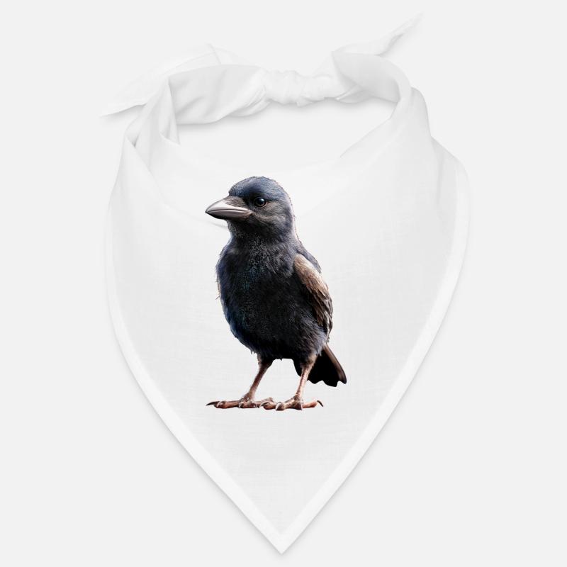 Rabe Krähe Vogel Rabenkrähe Dohle Schwarze Raben Bandana