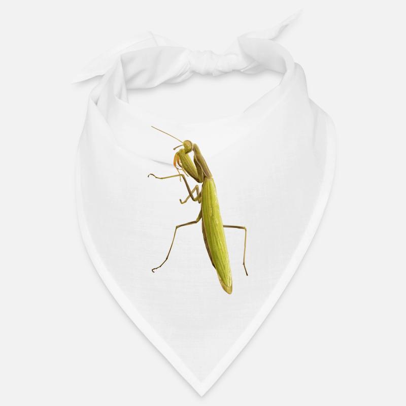 A praying mantis in wait Bandana