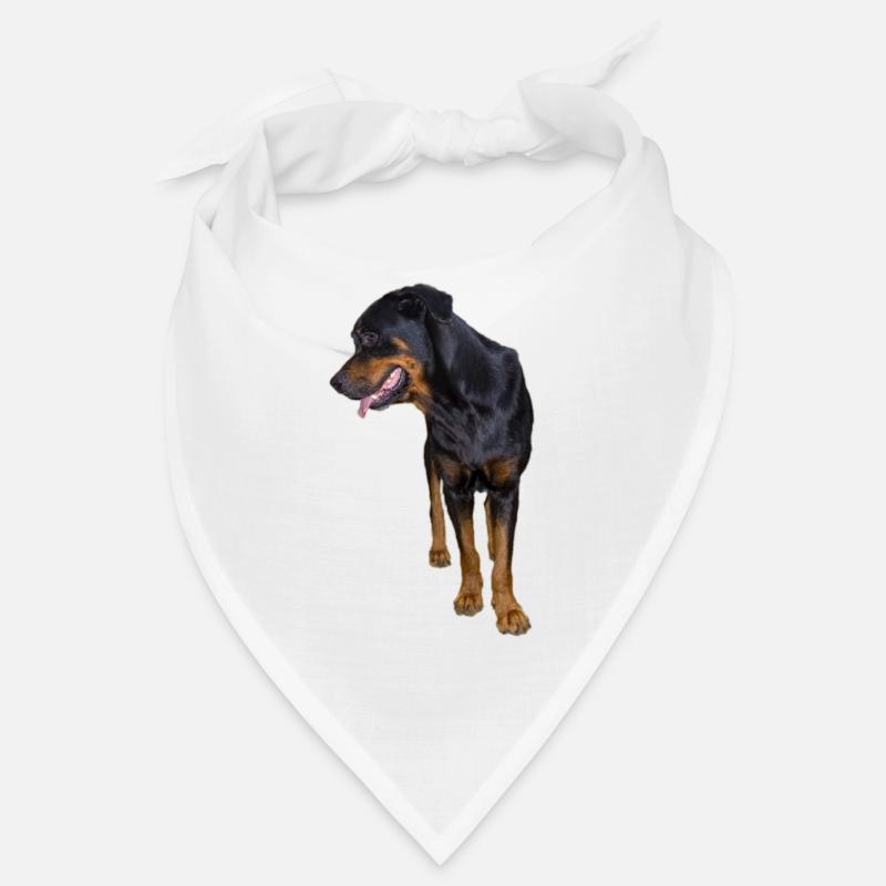 rottweiller Bandana