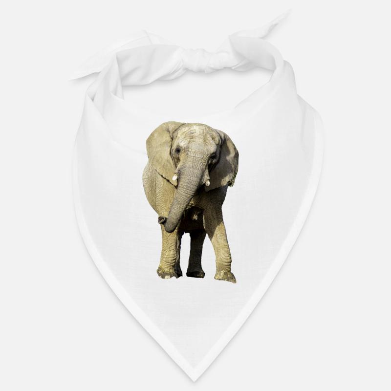 Éléphant Bandana