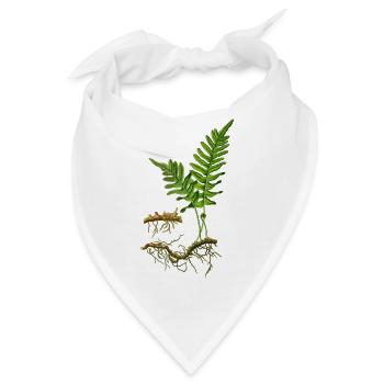 Natur, grüner Farn, Farnblatt - Bandana - Weiß - Vorne